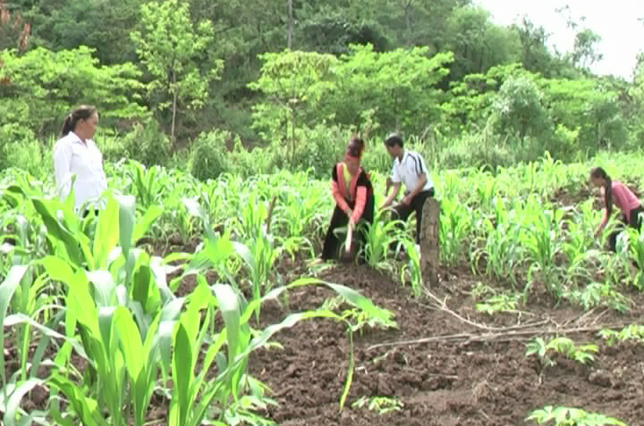 ເພີ່ມທະວີການຄຸ້ມຄອງລັດໃນວຽກງານຫຼຸດຜ່ອນຄວາມທຸກຍາກ